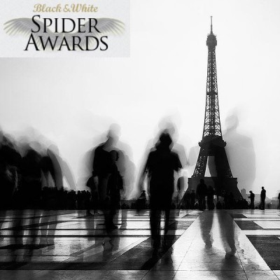 11th black white spider awards 2016 nominated iron and spirit