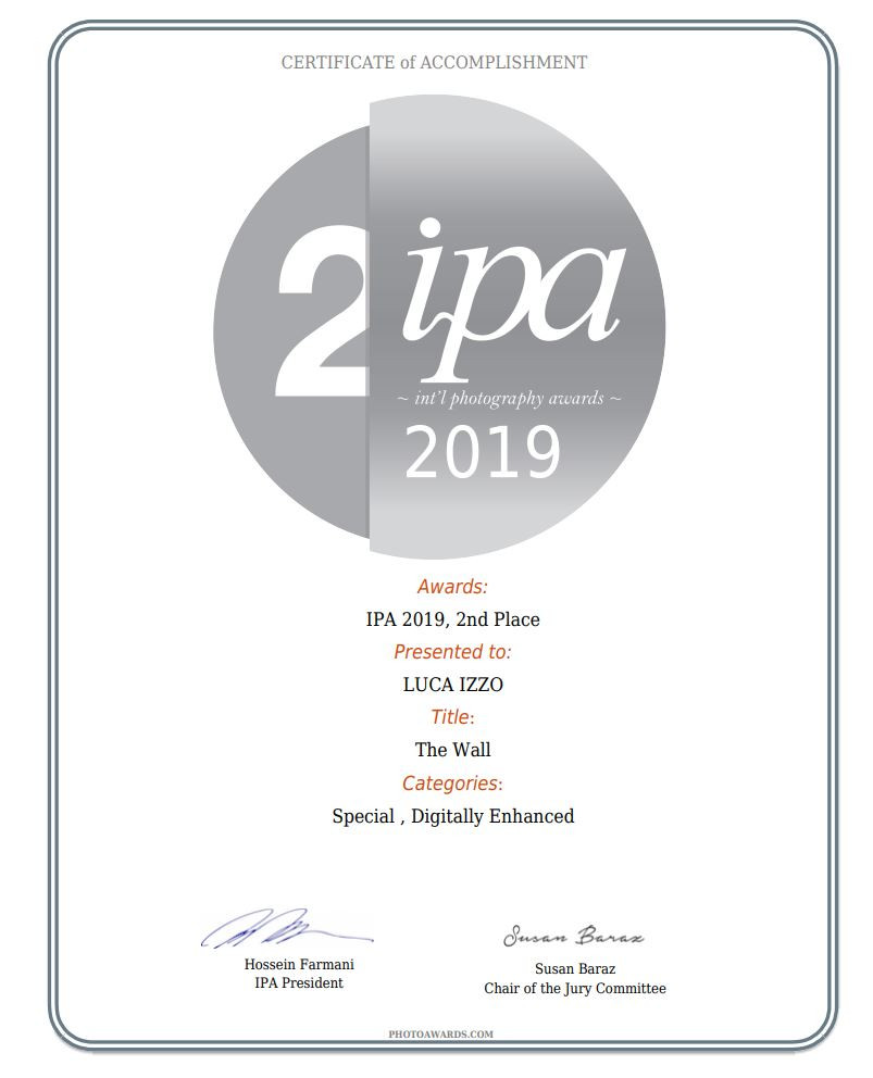 ipa_2019_special_category_2 winner