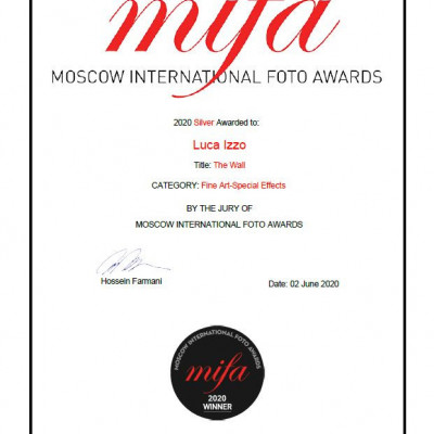 mifa 2020 special effect category silver winner