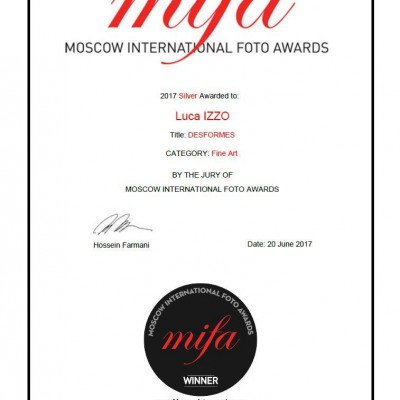 mifa certificate silver fine art 2017