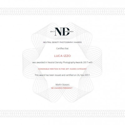 nd certifcate 2017 luca izzo