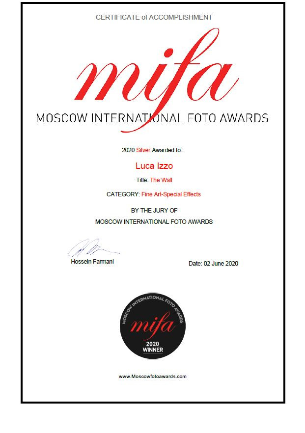 mifa_2020_special effect_category_silver winner