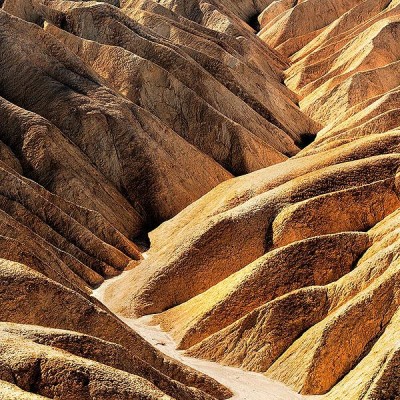 zabrinsky point 2014